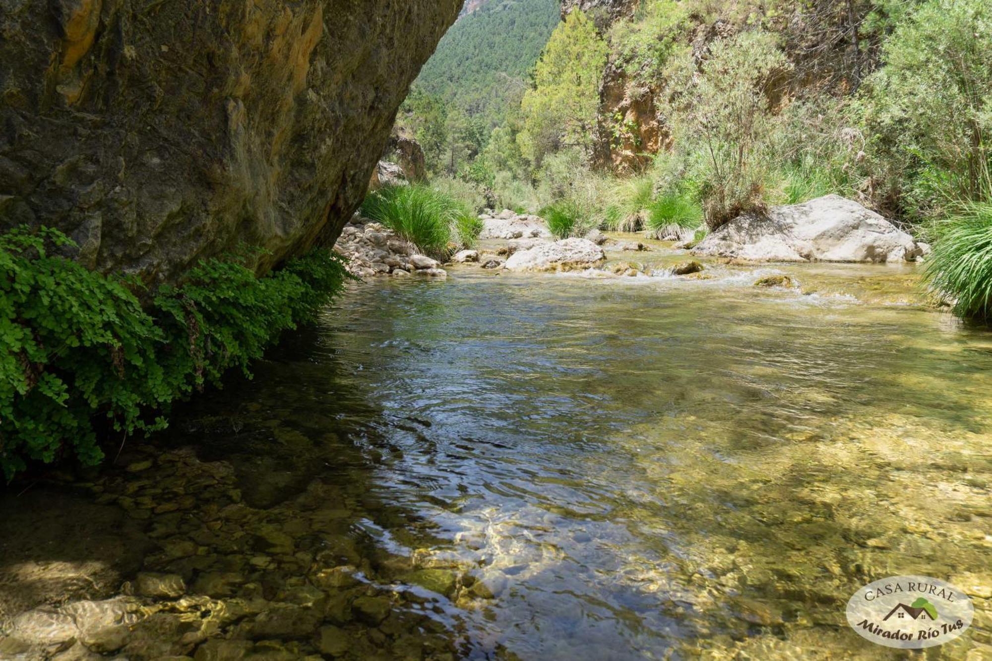 Casa Rural Mirador Del Rio Tus, En Yeste Bagian luar foto